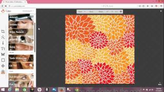 PicMonkey Tutorial: Using Lip Tint to Recolor Backgrounds