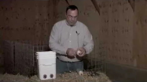 How to cut Pritchard Teats