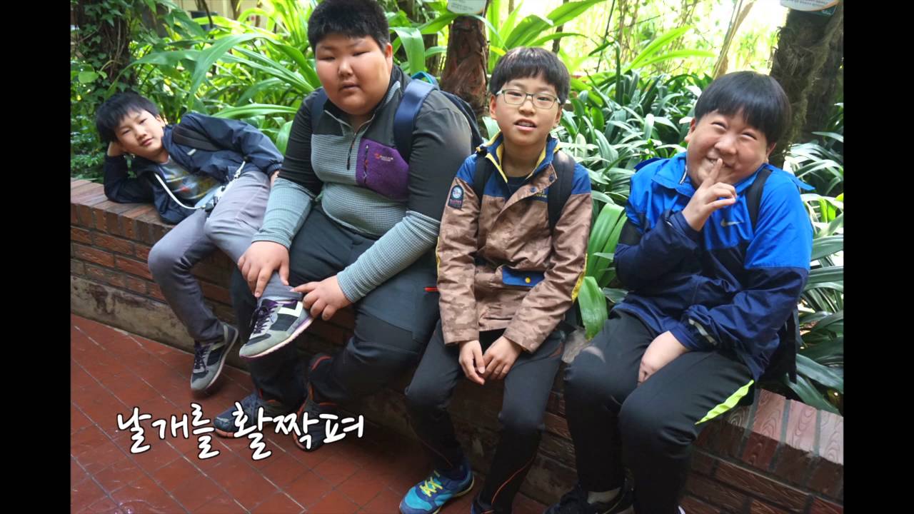 160205 청평초 졸업식용 - 나는 나비