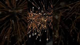 5X 100Mm Italian Display Shells Scorpicantte Effect