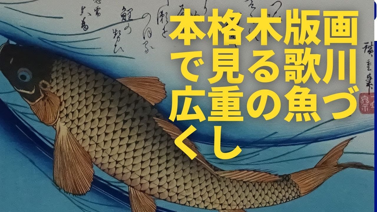 本格木版画で見る 歌川広重の魚づくし 2ー2 鯉からすずき・金目鯛に