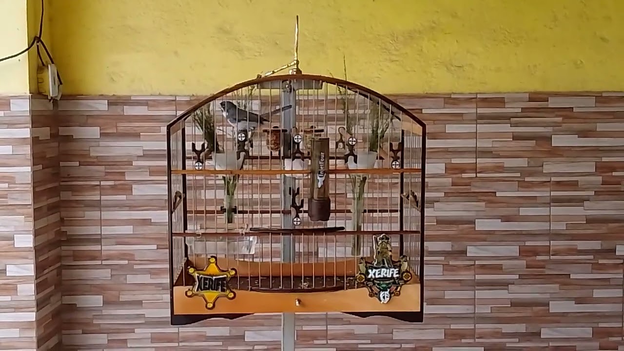 Se escreve no canal galera 