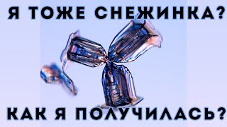 картинка: Тайна снежинок (Veritasium)
