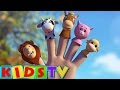 Finger Family Animals | Animals Cartoons Finger Family | 3D Nursery Rhyme