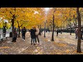 Stockholm Walks: Kungsträdgården on a sunny autumn day