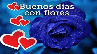 Thumbnail Buenos días con flores, y frases y música. Te va a encantar a ti y a quien se lo envíes.