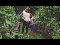 Direct Sowing Seeds in Raised Beds | Planting the Fall Garden | Roots and Refuge Farm Direct Sowing Seeds in Raised Beds | Planting the Fall Garden | Roots and Refuge Farm