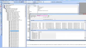 AVEVA PDMS  Customize  Fast specifications edit in PDMS