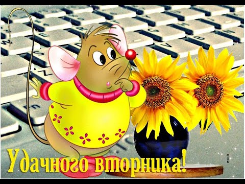 А ВОТ И ВТОРНИК, УЖЕ НЕ ПОНЕДЕЛЬНИК! / ИГРИВОГО НАСТРОЕНИЯ / Трудный день позади, неделя началась.