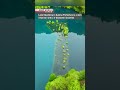 The submerged forest of GunmaーNHK WORLD-JAPAN NEWS #shorts