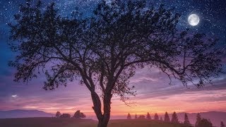 Enjoy this original, peaceful music by sleep easy relax. deeply
relaxing that is ideal to relax with for all ages. please consider
purchasing a copy of...