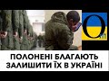 УМОЛЯЮТ ОСТАВИТЬ ИХ В УКРАИНЕ!