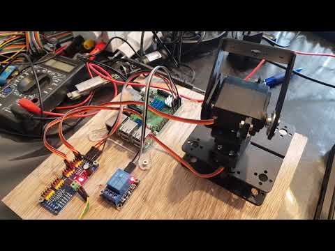 Test softwarebesturing servo en relais via Raspberry Pi en Python