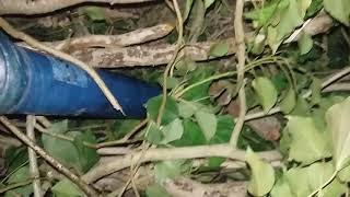 3 x 3  inch shells in 1 tube fail! !!!!