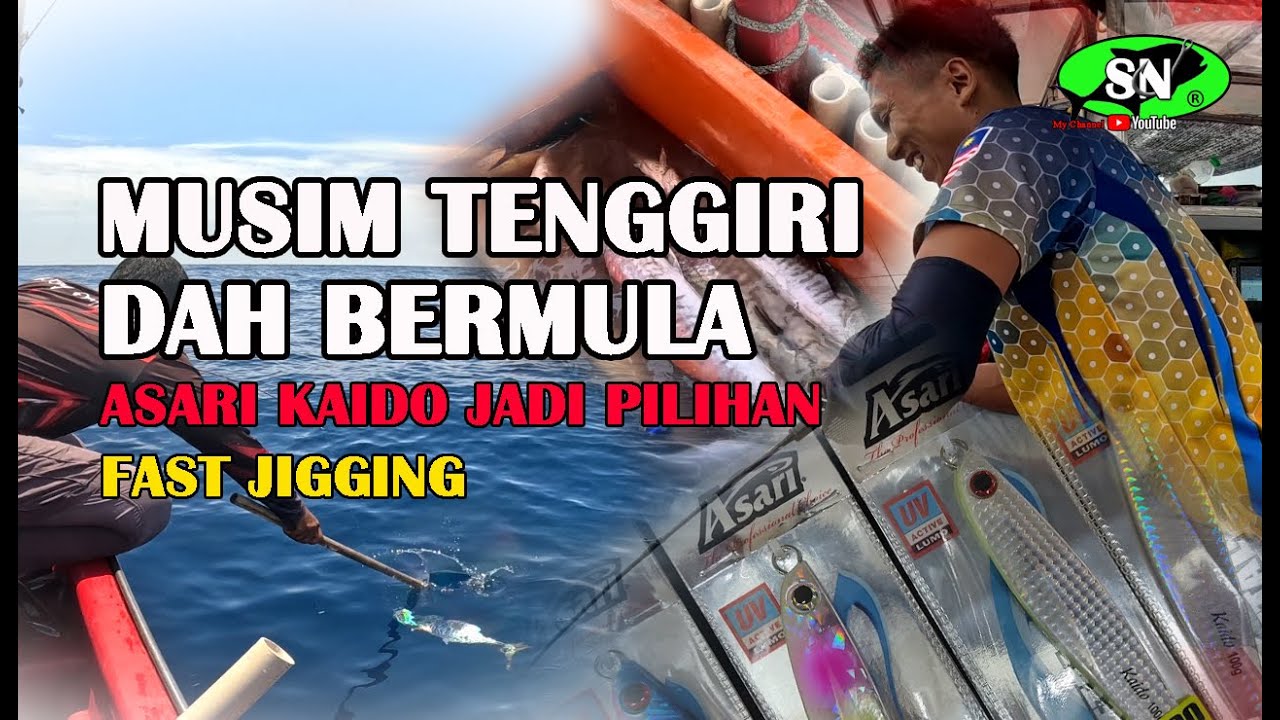 FAST JIGGING🐟 Musim tenggiri dah bermula ‼️Jig Asari kaido jadi sambaran