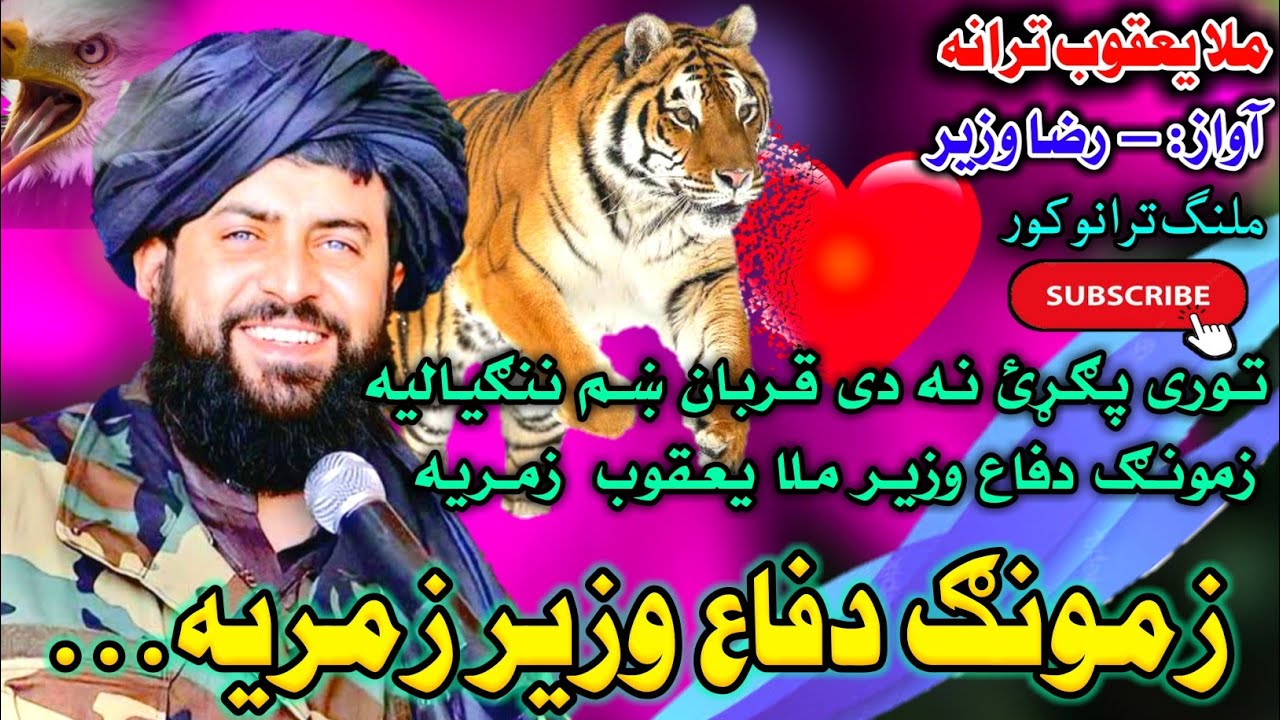 رضاوزیر نوی ترانی | ملا یعقوب ترانه | توری پګړئ نه دی قربان  | خوش نصيب نوی ترانی | الیاس هلال صبری