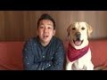 ワンワン教室#1 犬を飼う前に チェック8【ポチたま公式】