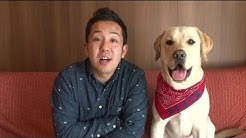 まさはる君が行く ポチたまペット大集合 Youtube