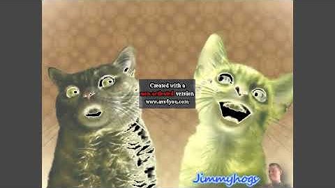 Preview 2 Numa Cat Effects 2 sponsored by derp what the flip csupo effects in g major 4