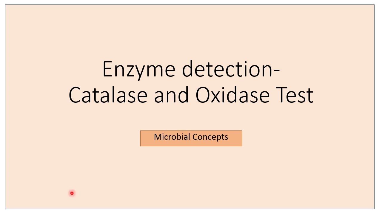 All about Catalase and Oxidase Test Biochemical tests Microbiology