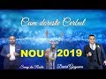 CUM DORESTE CERBUL / SAMY DIN RESITA SI DAVID GOGONEA (( OFFICIAL NOU )) CANTARE NOUA  2019