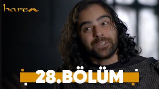 Harem - 28. Bölüm