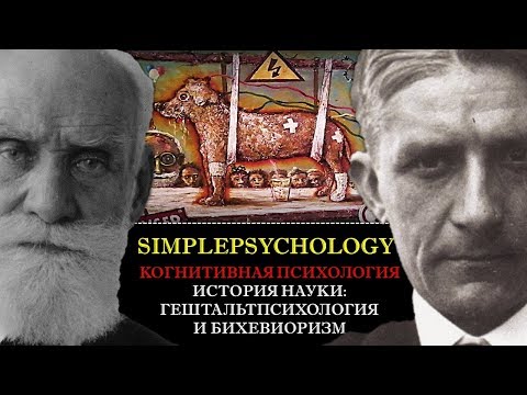 Когнитивная психология #5. История науки: гештальтпсихология и бихевиоризм.