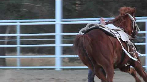 Griffith Trick Riding Stock Show 2012 #3