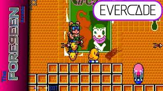 TAITO Arcade 2 - Evercade Cartridge Tour