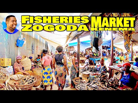 KENEMA FISHERIES MARKET - Eastern Province Sierra Leone 🇸🇱 🌍 VLog 2022 - Explore With Triple-A