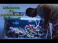 Aquarium maintenance dun rcifal eau de mer  tuto  salinit  changement deau  siphonnage