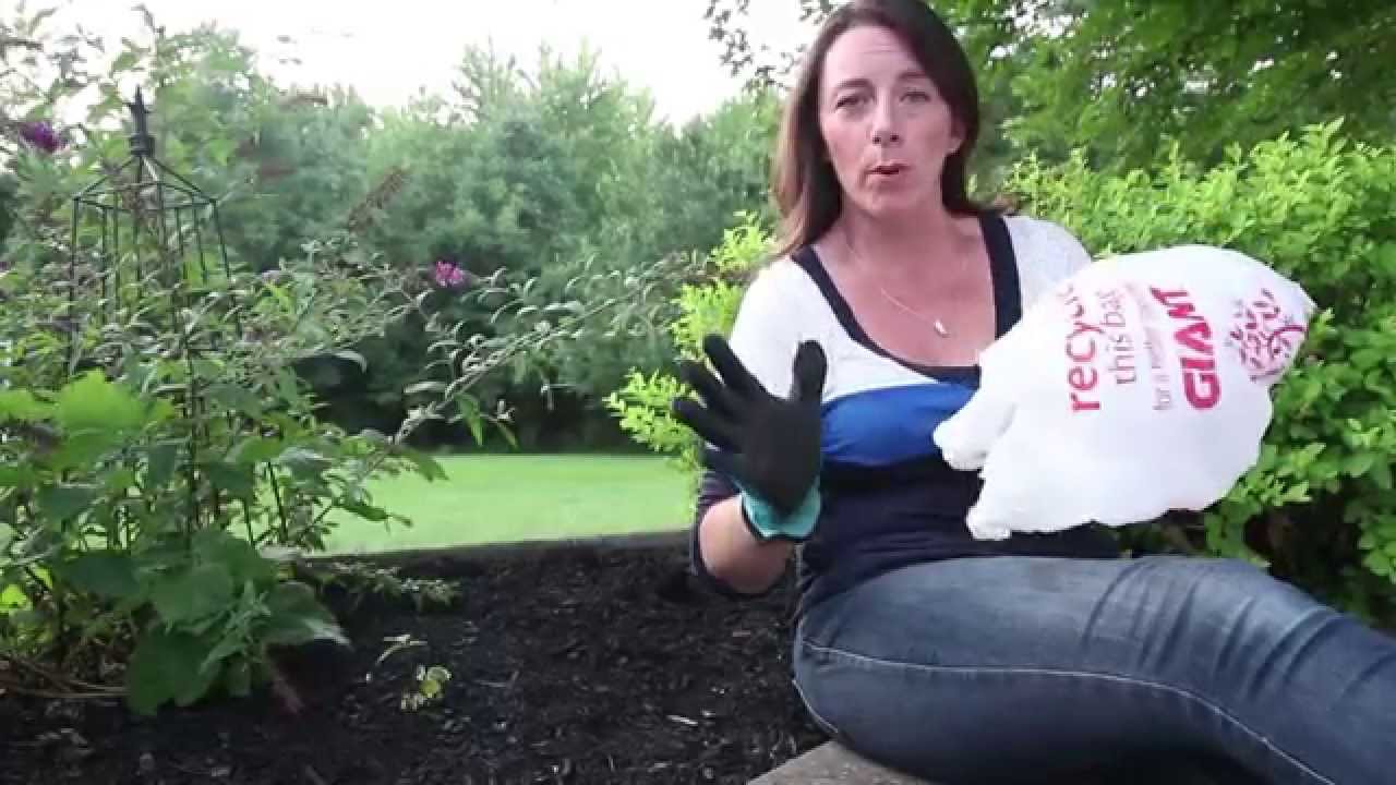 DIY Trick to Remove Poison Ivy YouTube