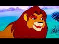 狮子王辛巴第40集｜精彩儿童动画，勇敢成长的狮子王故事 🦁