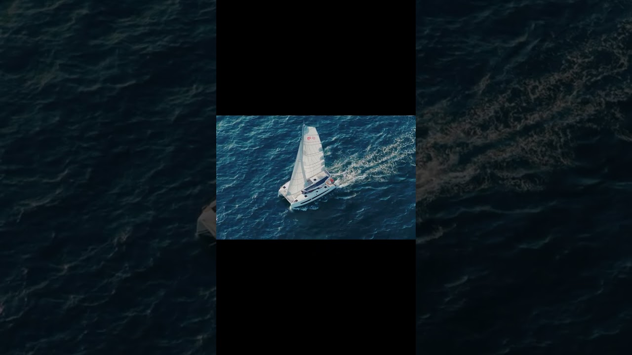 ⁣FP41