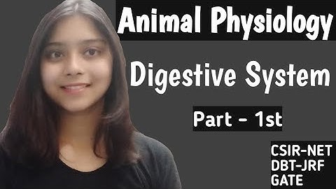 Digestive System - ANIMAL PHYSIOLOGY CSIR-NET JRF LIFESCIENCE