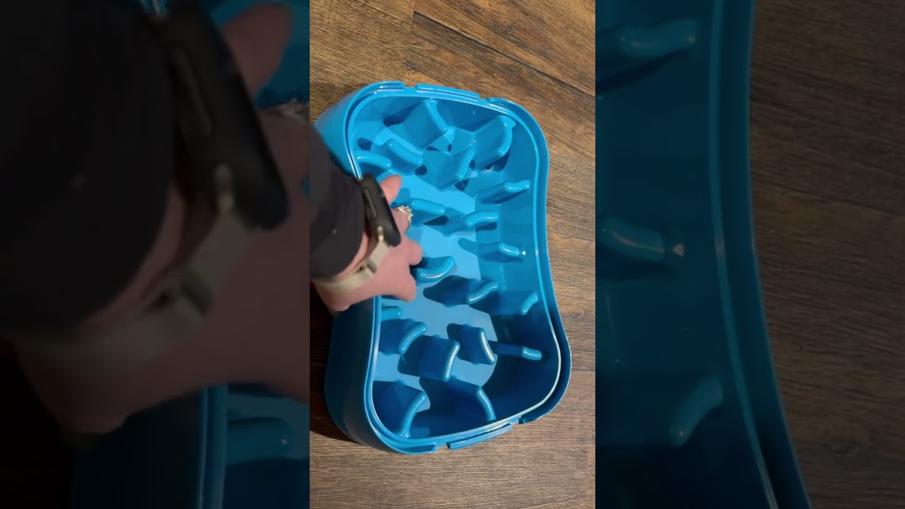 Classic Canine Conduct Reviews Super Feedy Slow Feeder Bowl!