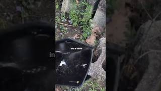 Chromebook Durability Test #shorts