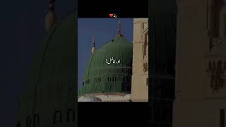 ya Rasool Allah🕋🕋#automobile#animals #aamin