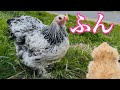 【悲報】パパは年頃の娘に嫌がられました（涙）