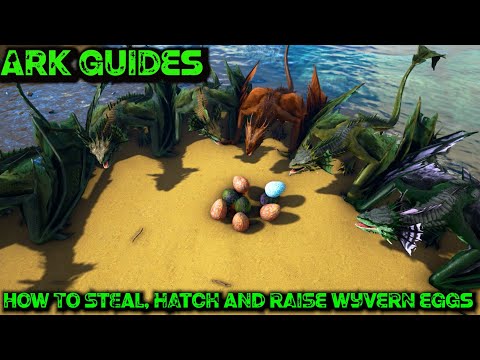 The Ultimate Guide To Stealing Wyvern Eggs AND How To Hatch And Raise Them - Ark Guides