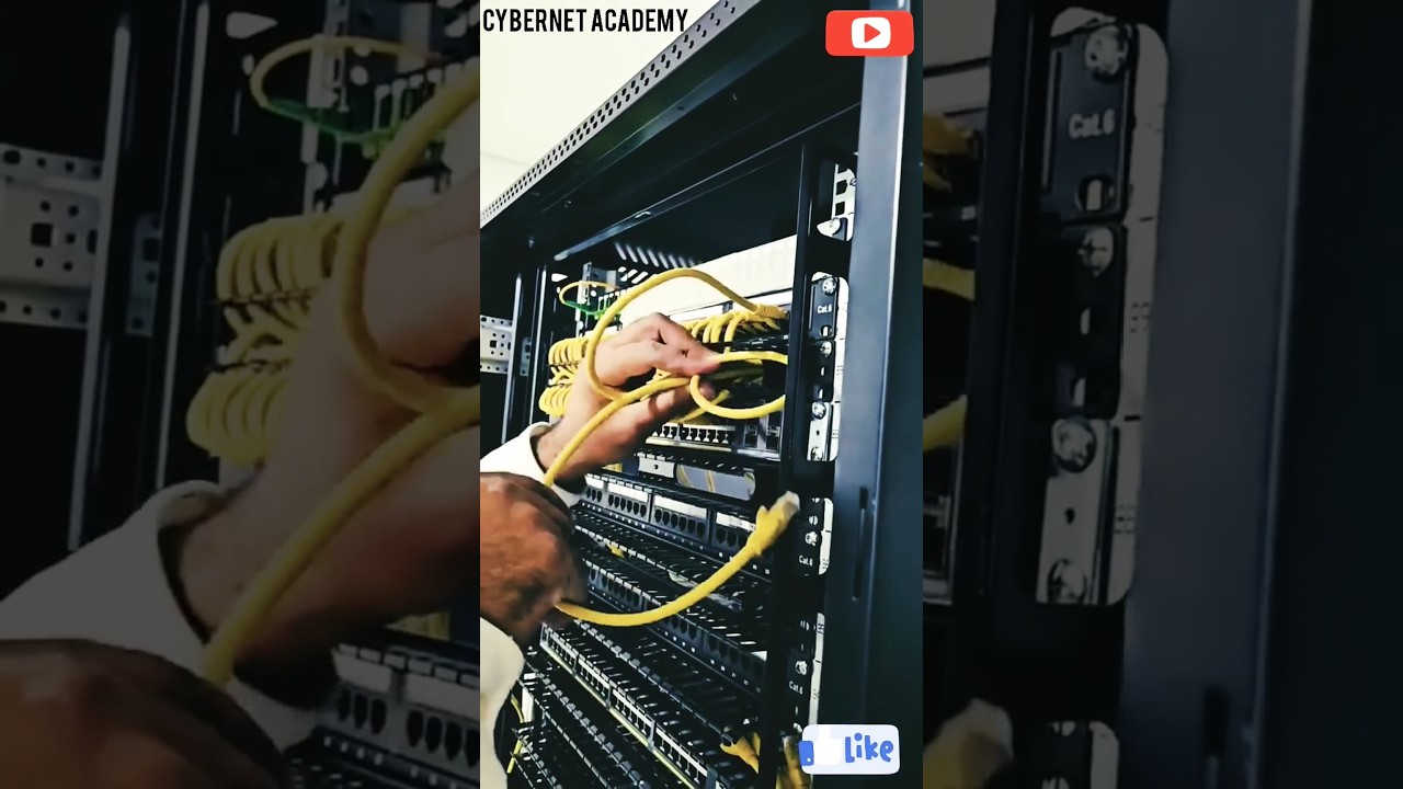 Fixing a Wall Mounted Network Rack Proper Cable Management Fix & Organize a Network Rack Box