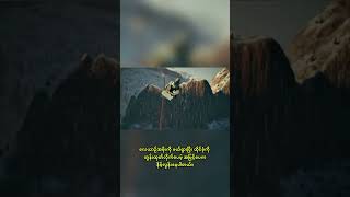 နေတိုးကို စိန်ခေါ်ခဲ့တဲ့၊𝐏𝐀𝐑𝐓-𝟏𝟎 #GulfWar #F15 #Mig29 #AirCombat #MilitaryHistory