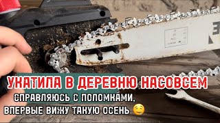 картинка: МОИ ДЕРЕВЕНСКИЕ НОВОСТИ 😍🤤 