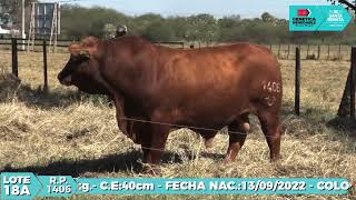 Lote 18A - Rp 1406 - Cabaña Santa Renata