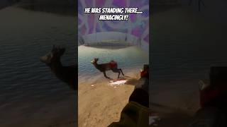 520 into grind two, respawns are crazy #gaming #cotw #roedeer #greatone #grinding #thehunter