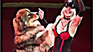 Circus. The show dogs. Цирк. Смотреть Шоу собак. Circus. The show dogs. Цирк. Смотреть Шоу собак.