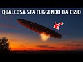 Qualcosa di Strano Appena Entrato nel Nostro Sistema Solare