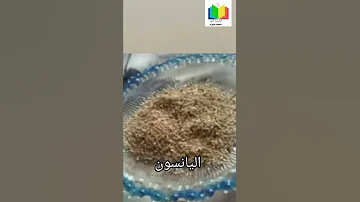 فوائد اليانسون مضاره 