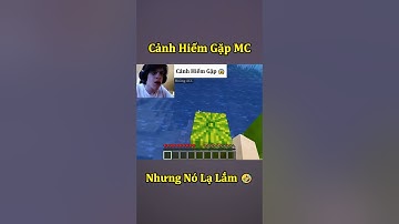 Những Cảnh Tưởng Hiếm Gặp Nhất Minecraft Bất Ổn ( Tập 2 ) 🤣 #shorts