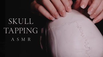Delicate Skull Tapping ASMR | Quickly Setting and Breaking the Pattern (No Talking)